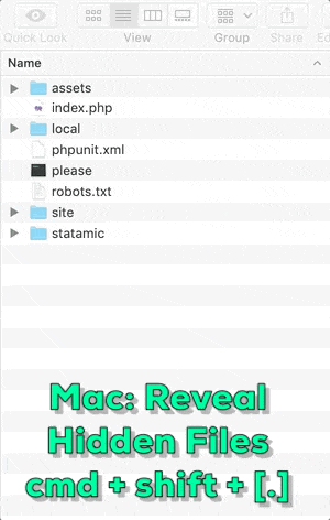 Example of Mac Finder window, showing and hiding files. Notice there are several files like .project, .cpanel.yml, and .gitignore that are revealed using the key command:  cmd + shift + period