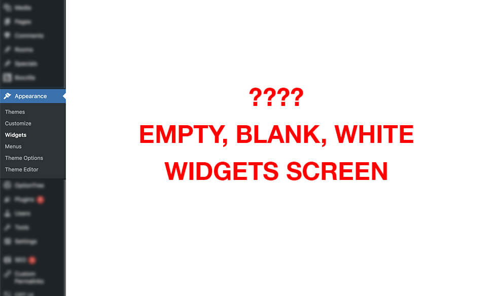 From within your WP Admin panel, you see a blank white page for Appearance > Widgets