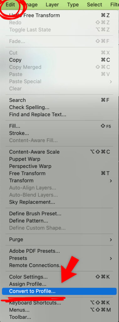 Adobe PhotoShop > Edit > Convert to Profile