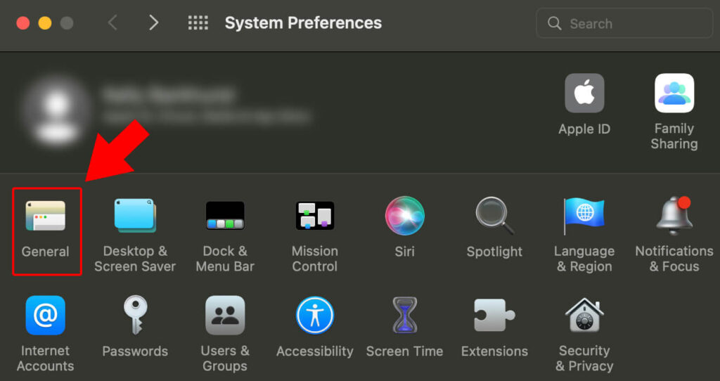 Step 2: Apple > System Preferences > General