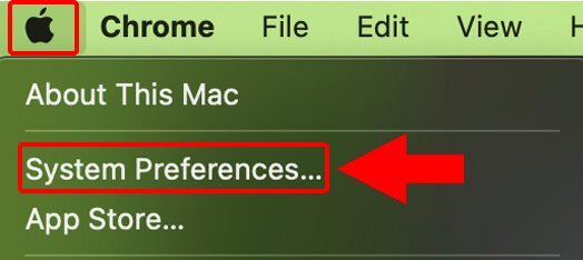 Step 1: Apple > System Preferences