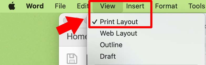 Select "Print Layout" as your View in Word to see the entire page.