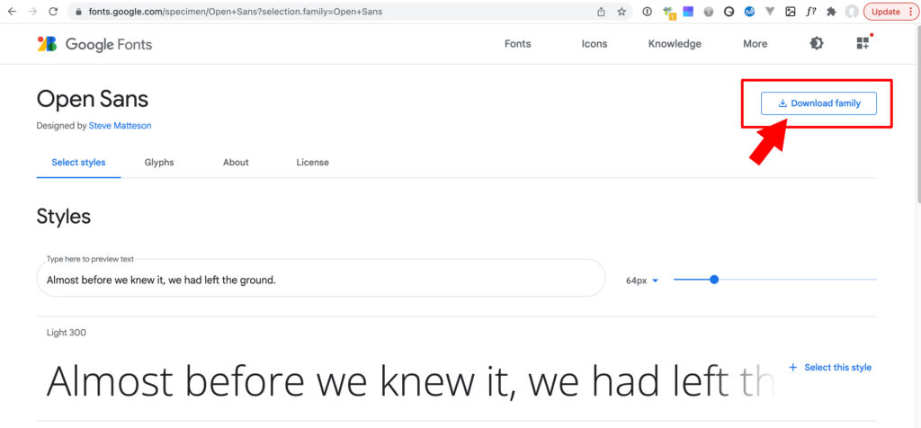 Click the button, Download Family, in the top right of Google Fonts to download a zip file of your selected Google Font.