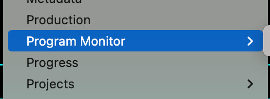 In Adobe Premiere, if you can't find your Program Panel, you can view it by selecting window> Program Monitor.