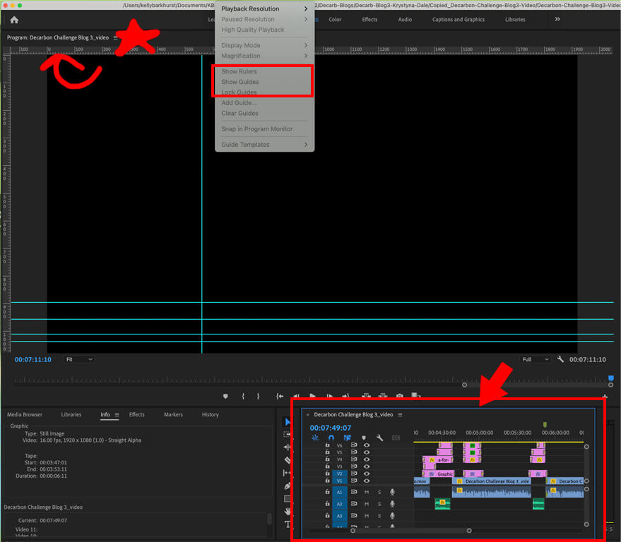 In this screen capture, you'll see I have the Sequence Panel active (note the blue outline) and not the Program panel (top with the star). This is why when I go to View > Show Rulers, the options are grayed out and can not be selected. 