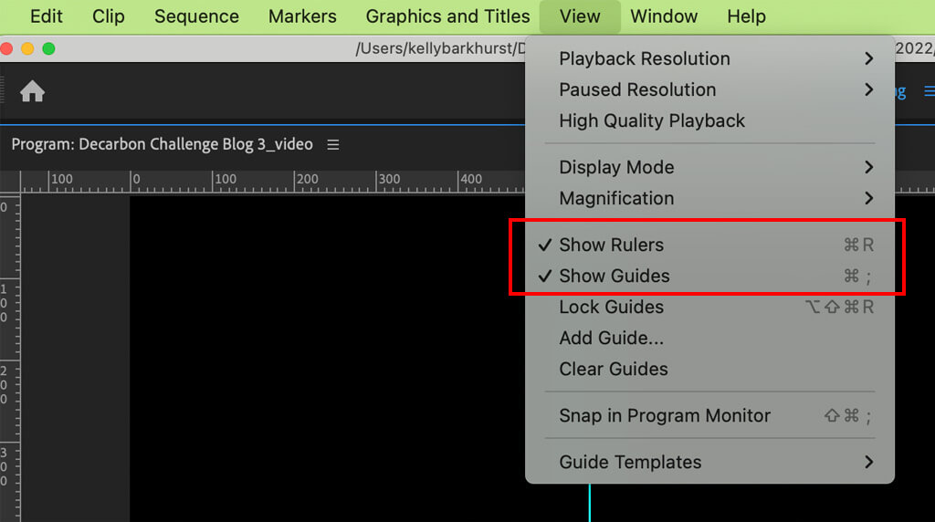 If I click on the Program Panel, I can turn on Rulers and drag rulers (blue guides) onto my video.