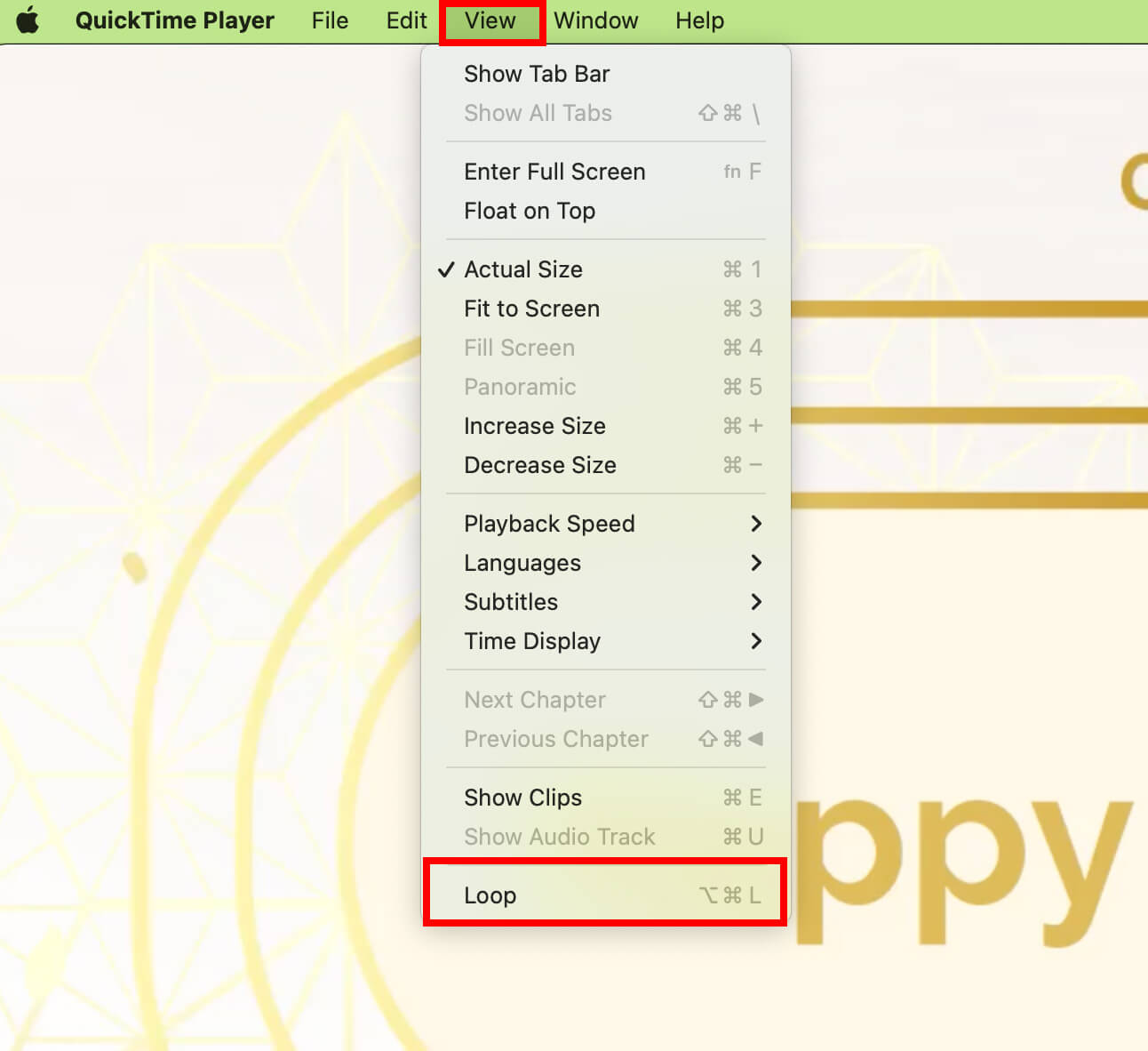 Three ways to share and loop your video playback Designer to Fullstack
