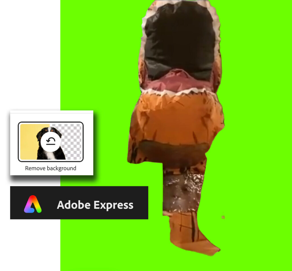 Example of adobe express background removal in a video.