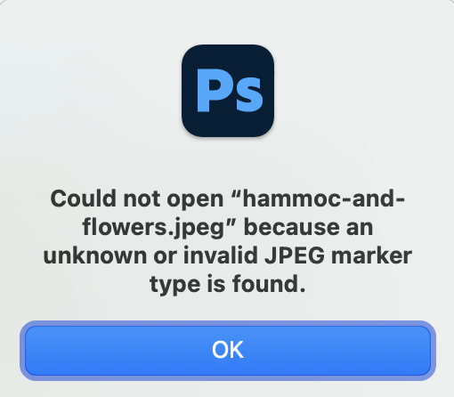 Could not open because an unknown or invalid JPEG marker type is found.