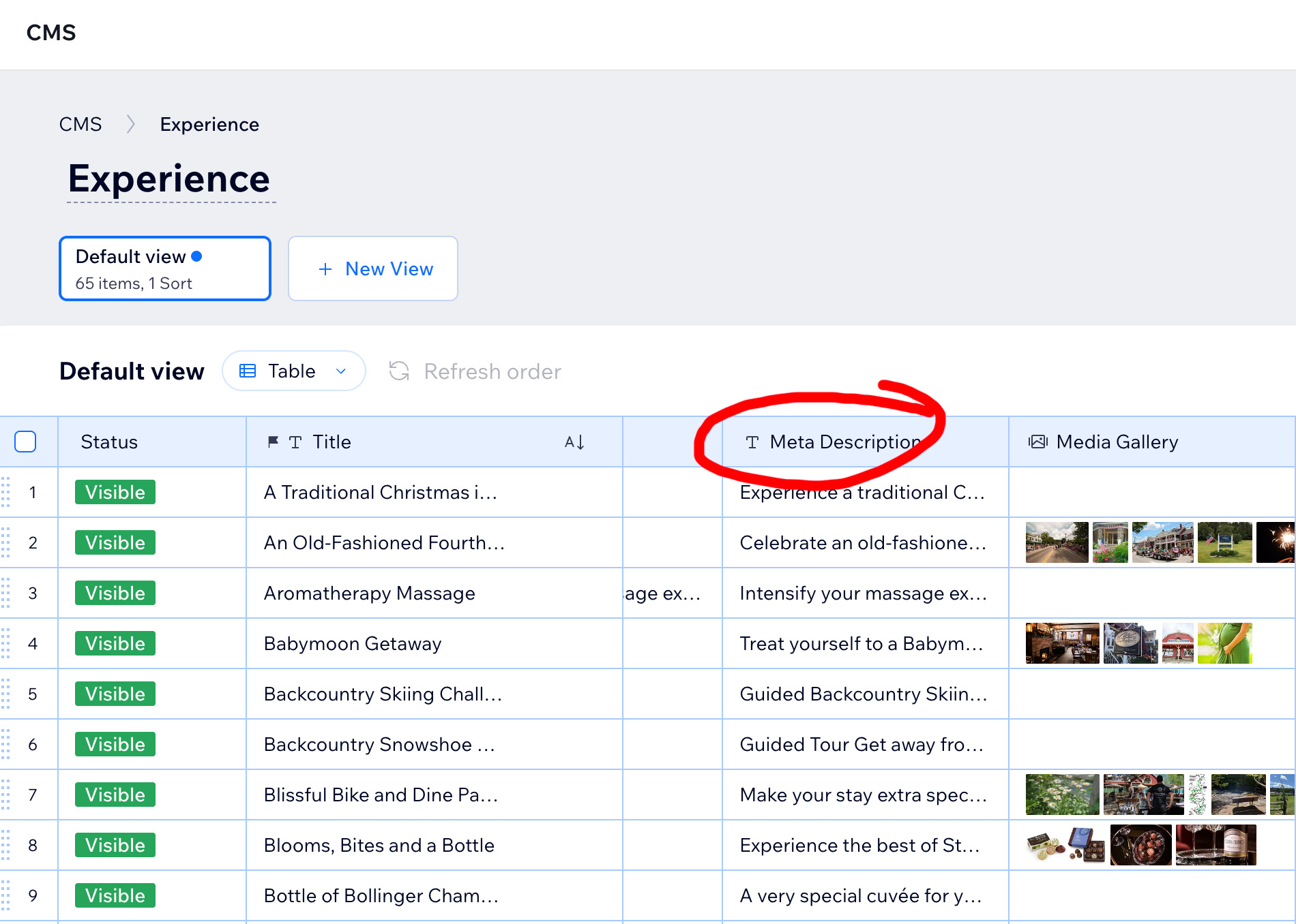 Add a text field to the CMS database for Meta Description in Wix Studio