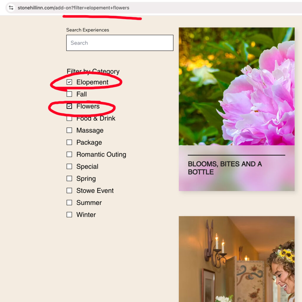 Filter with checkboxes changing the parameter state in the url browser bar on a Wix Studio website