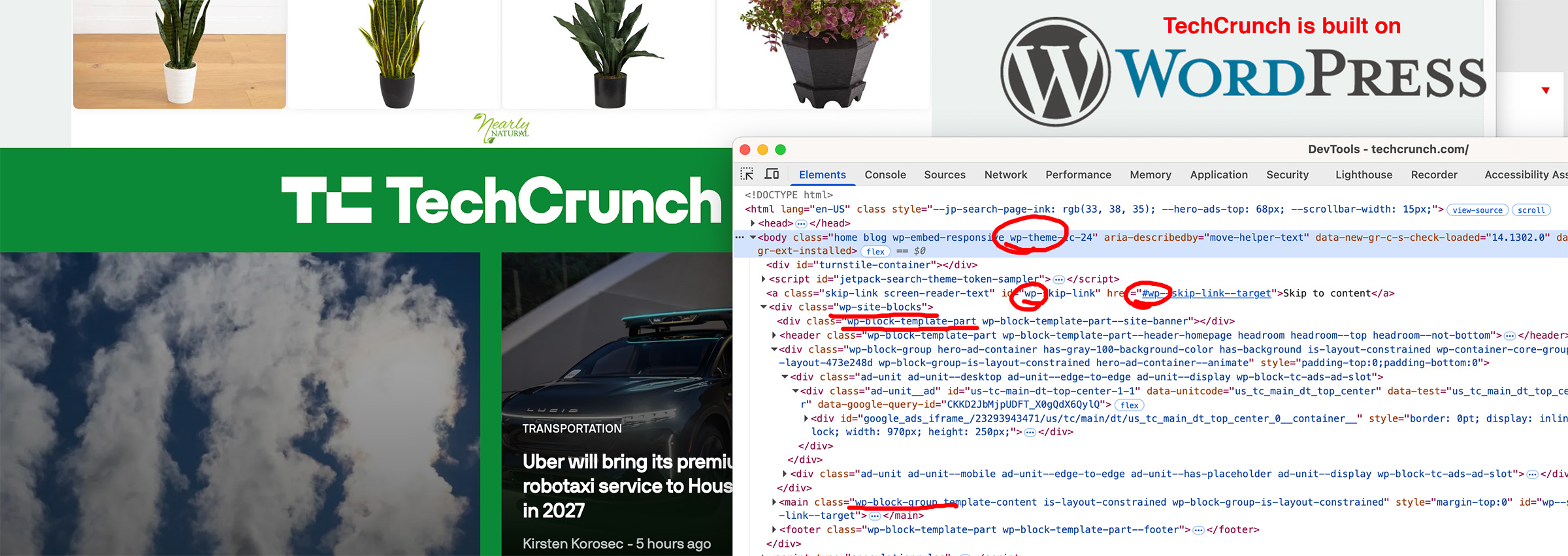 Explore source code and look for wp- to confirm that a website, like TechCrunch, is built on the WordPress CMS framework.