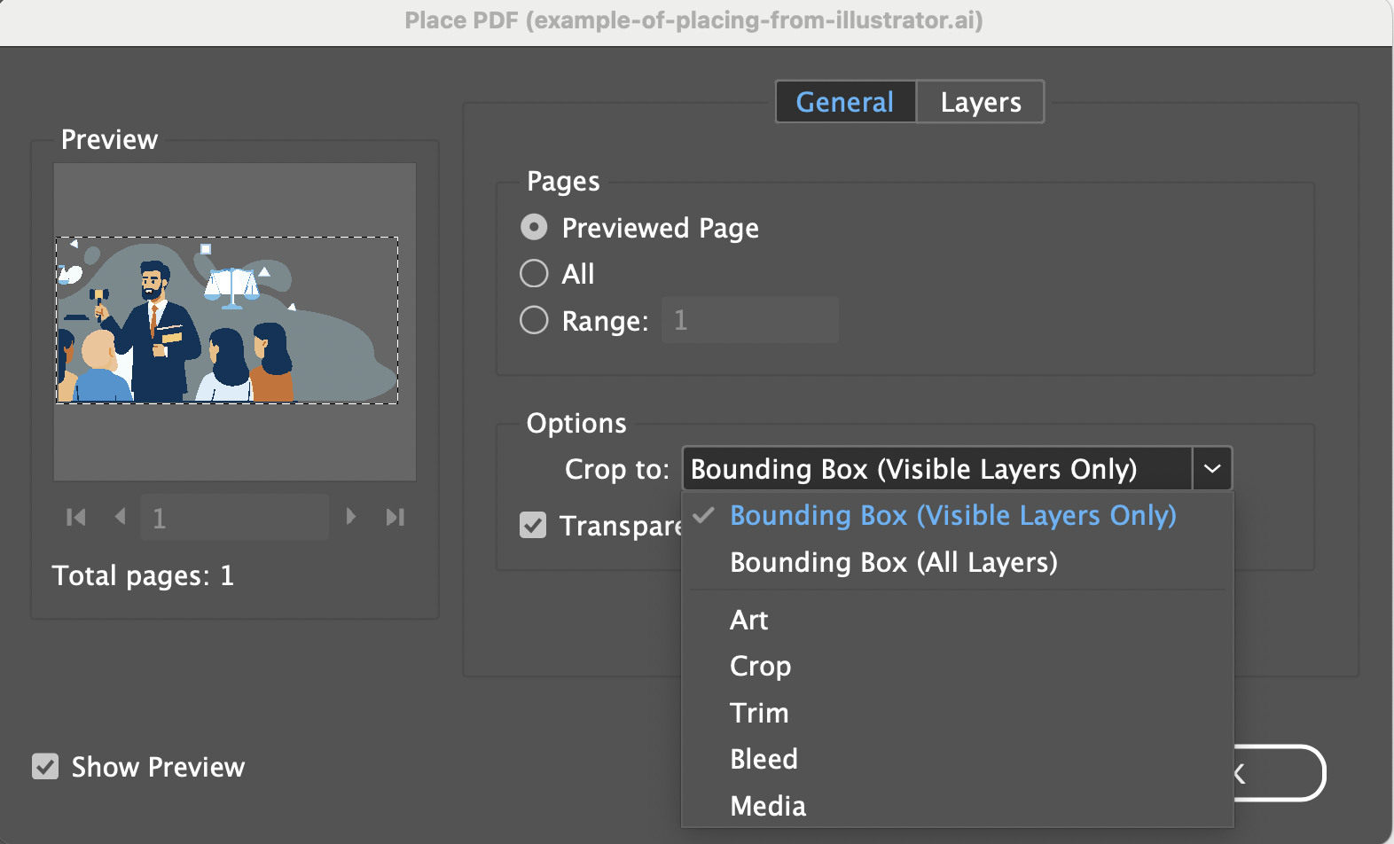 Place options for an Illustrator file in InDesign.