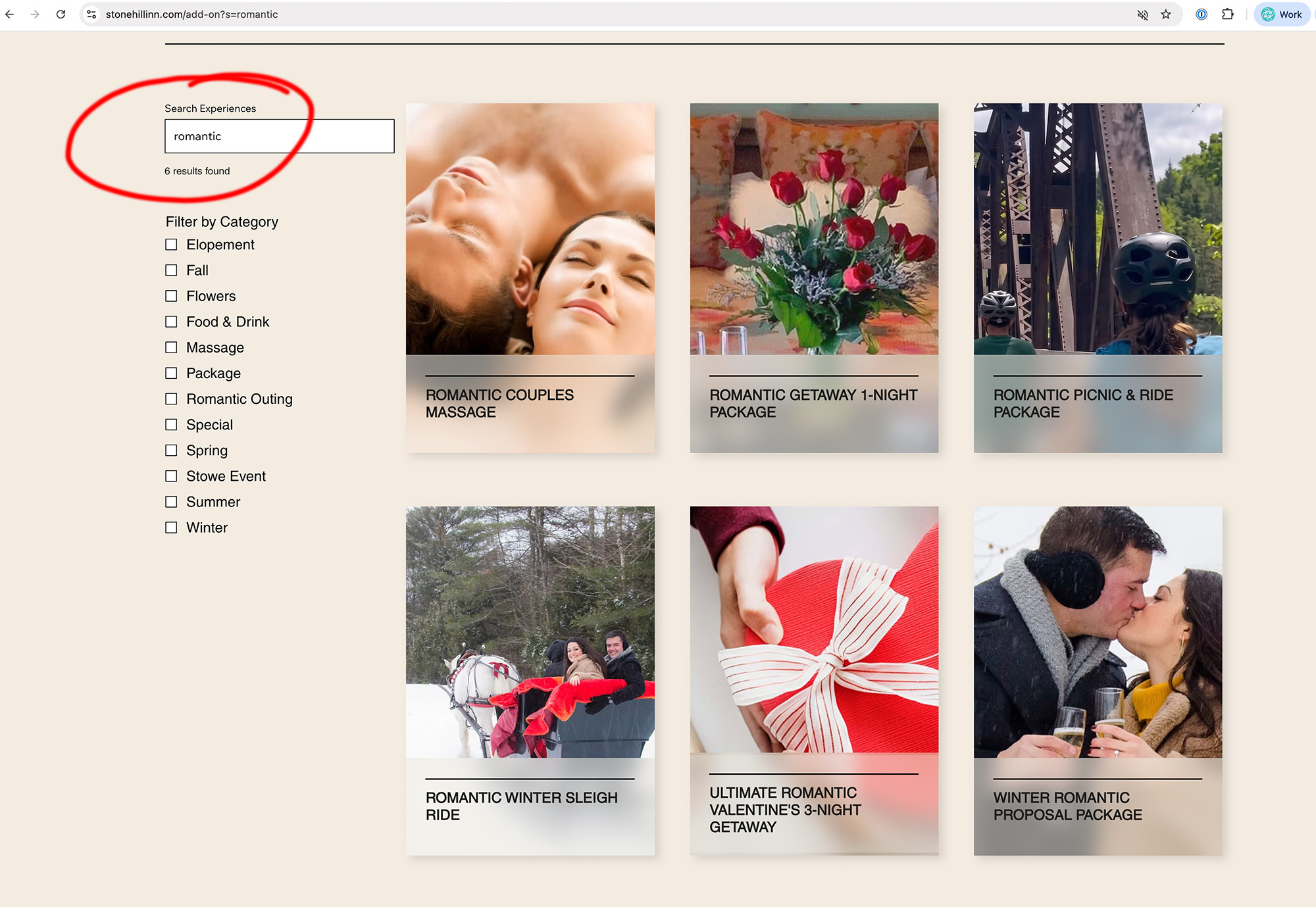 Example of using a text input box to filter and query a repeater linked to the CMS in Wix Studio
