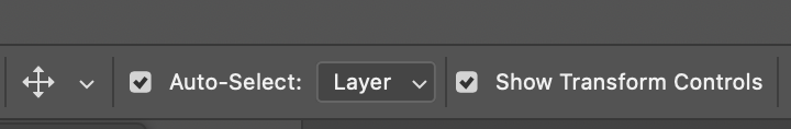 Move tool settings for Auto Select and Show Transform controls in Photoshop.